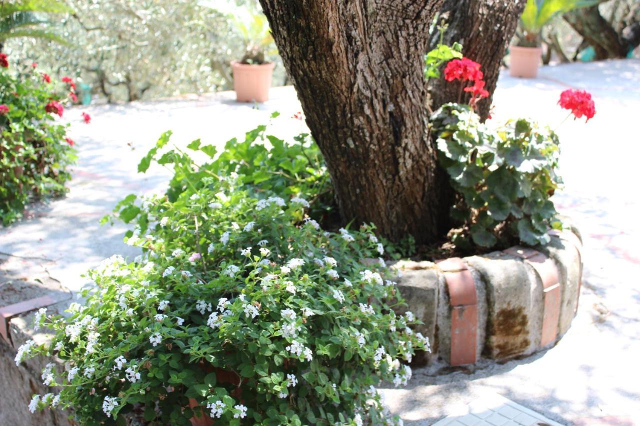 Casa Josella